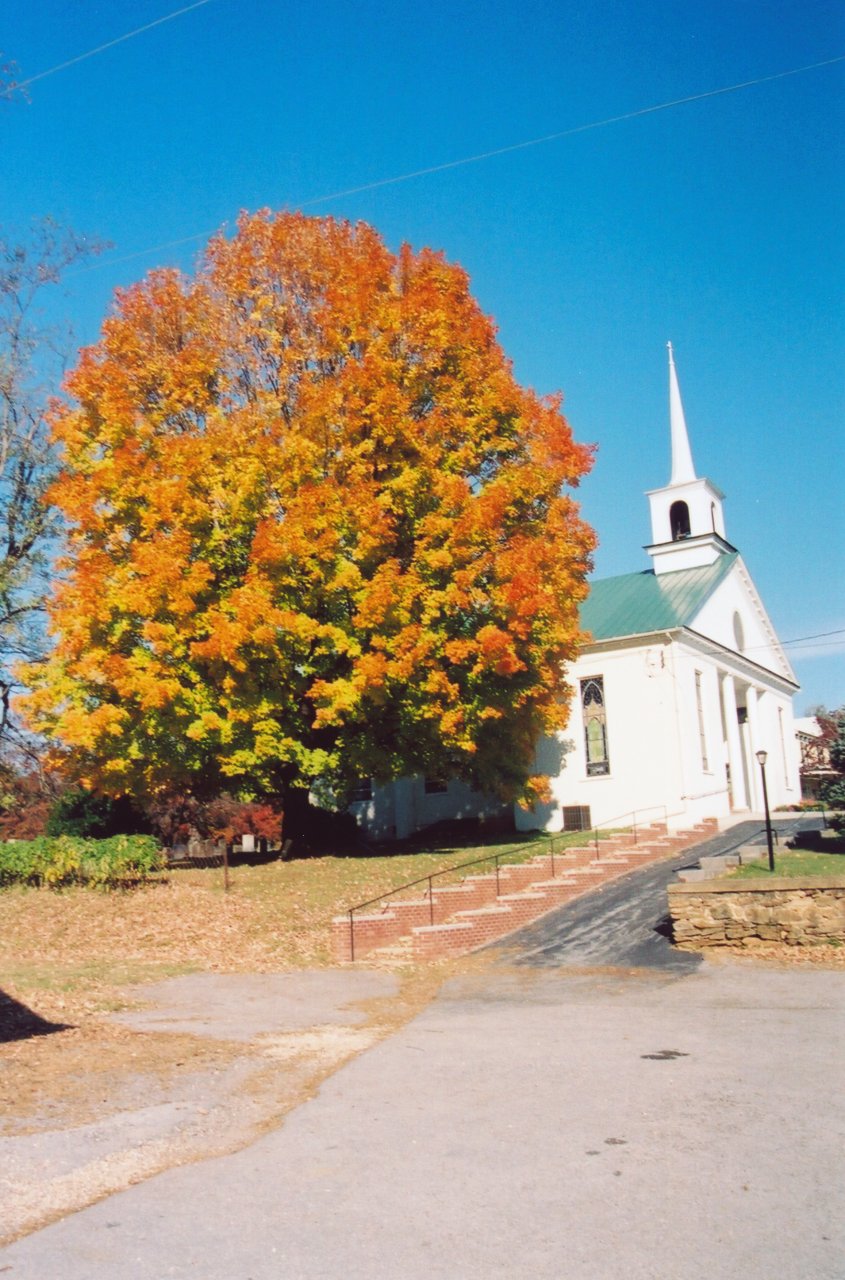 A and M in Shenandoah 8